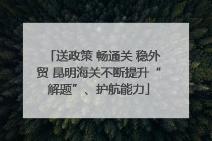 送政策 畅通关 稳外贸 昆明海关不断提升“解题”、护航能力