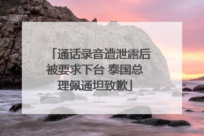 通话录音遭泄露后被要求下台 泰国总理佩通坦致歉