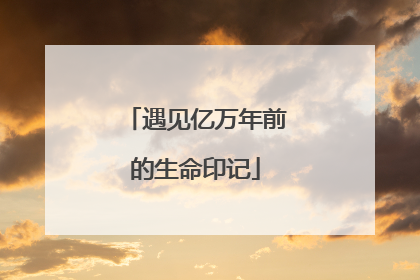 遇见亿万年前的生命印记