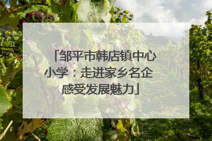 邹平市韩店镇中心小学：走进家乡名企 感受发展魅力