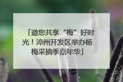 邀您共享“梅”好时光！漳州开发区举办杨梅采摘季嘉年华