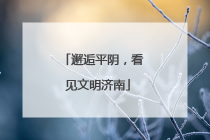 邂逅平阴，看见文明济南