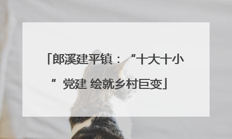郎溪建平镇：“十大十小”党建 绘就乡村巨变