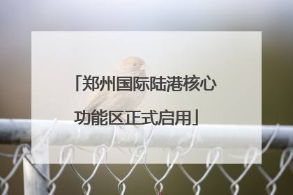 郑州国际陆港核心功能区正式启用
