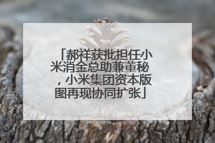 郝祥获批担任小米消金总助兼董秘，小米集团资本版图再现协同扩张