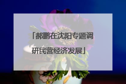 郝鹏在沈阳专题调研民营经济发展