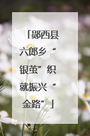 郧西县六郎乡“银茧”织就振兴“金路”