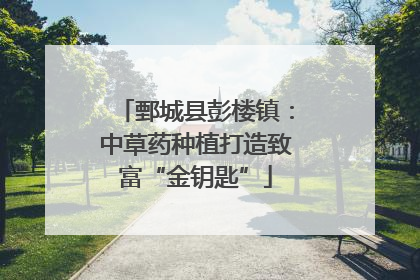 鄄城县彭楼镇：中草药种植打造致富“金钥匙”