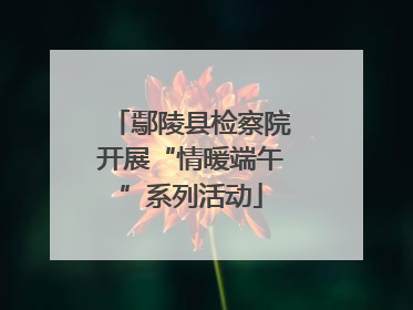 鄢陵县检察院开展“情暖端午”系列活动