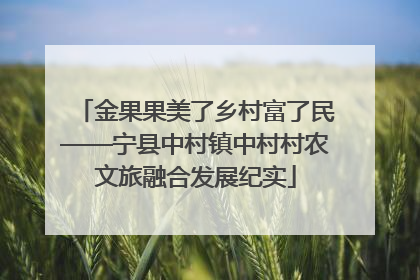 金果果美了乡村富了民——宁县中村镇中村村农文旅融合发展纪实