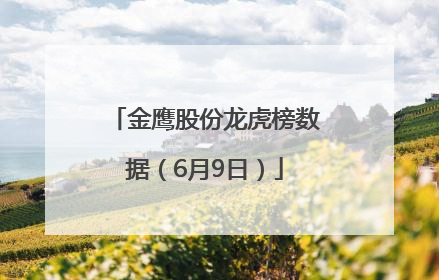 金鹰股份龙虎榜数据（6月9日）