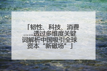韧性、科技、消费……透过多维度关键词解析中国吸引全球资本“新磁场”