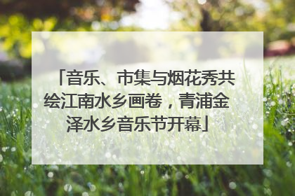 音乐、市集与烟花秀共绘江南水乡画卷，青浦金泽水乡音乐节开幕