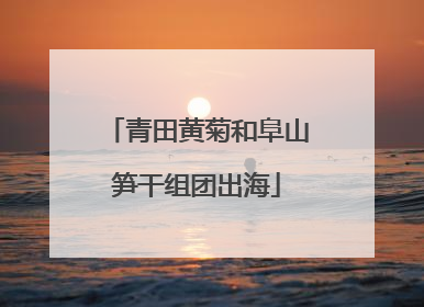 青田黄菊和阜山笋干组团出海