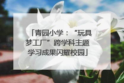 青园小学：“玩具梦工厂”跨学科主题学习成果闪耀校园