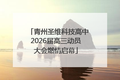 青州圣维科技高中2026届高三动员大会燃情启幕
