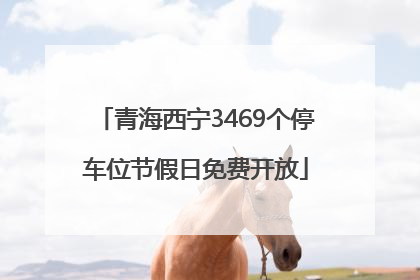 青海西宁3469个停车位节假日免费开放