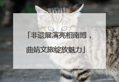 非遗展演亮相南博，曲靖文旅绽放魅力