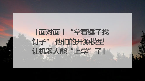 面对面丨“拿着锤子找钉子” 他们的开源模型让机器人能“上学”了