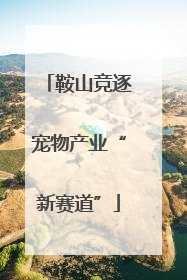 鞍山竞逐宠物产业“新赛道”