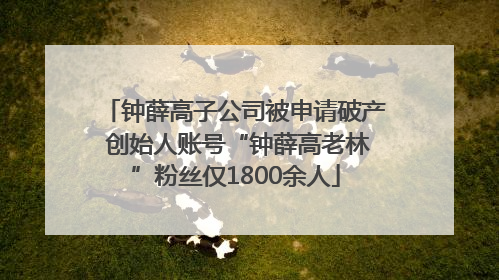 钟薛高子公司被申请破产 创始人账号“钟薛高老林”粉丝仅1800余人