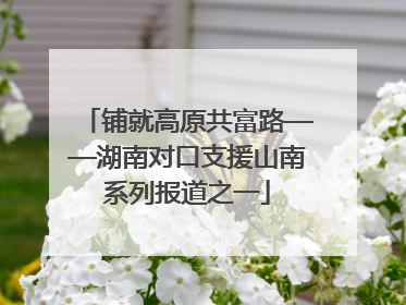 铺就高原共富路——湖南对口支援山南系列报道之一
