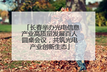 长春举办光电信息产业高质量发展百人圆桌会议，共筑光电产业创新生态