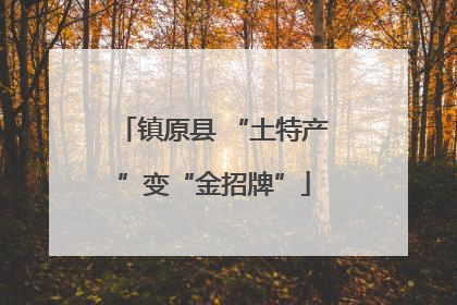镇原县 “土特产”变“金招牌”
