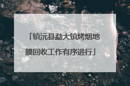 镇沅县勐大镇烤烟地膜回收工作有序进行