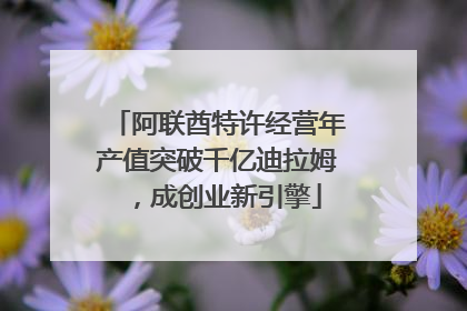 阿联酋特许经营年产值突破千亿迪拉姆，成创业新引擎