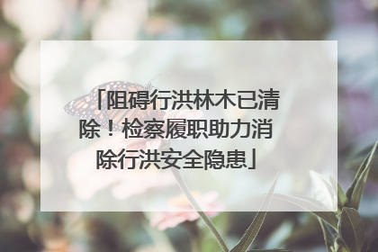 阻碍行洪林木已清除！检察履职助力消除行洪安全隐患