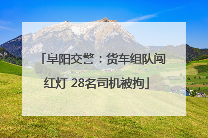 阜阳交警：货车组队闯红灯 28名司机被拘