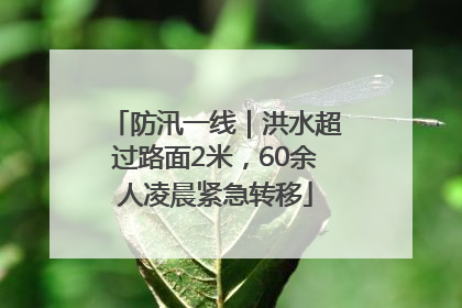 防汛一线｜洪水超过路面2米，60余人凌晨紧急转移