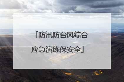 防汛防台风综合应急演练保安全