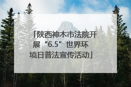 陕西神木市法院开展“6.5”世界环境日普法宣传活动