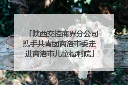 陕西交控商界分公司携手共青团商洛市委走进商洛市儿童福利院