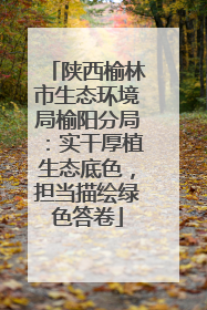 陕西榆林市生态环境局榆阳分局：实干厚植生态底色，担当描绘绿色答卷