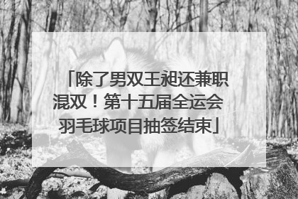 除了男双王昶还兼职混双！第十五届全运会羽毛球项目抽签结束