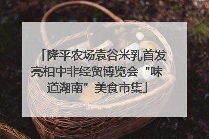 隆平农场袁谷米乳首发亮相中非经贸博览会“味道湖南”美食市集