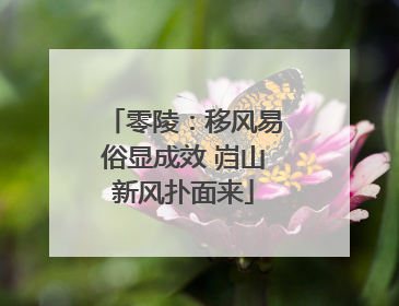 零陵：移风易俗显成效 岿山新风扑面来