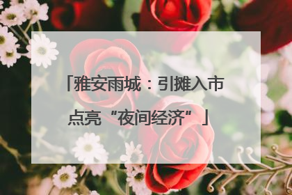 雅安雨城：引摊入市 点亮“夜间经济”