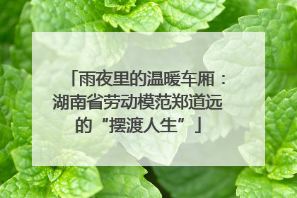 雨夜里的温暖车厢：湖南省劳动模范郑道远的“摆渡人生”
