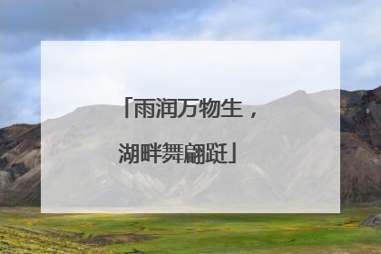 雨润万物生，湖畔舞翩跹