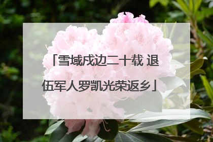 雪域戍边二十载 退伍军人罗凯光荣返乡
