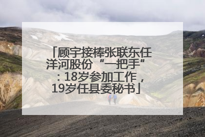 顾宇接棒张联东任洋河股份“一把手”：18岁参加工作，19岁任县委秘书
