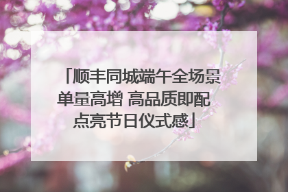 顺丰同城端午全场景单量高增 高品质即配点亮节日仪式感