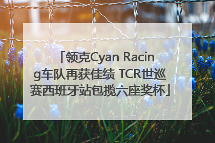 领克Cyan Racing车队再获佳绩 TCR世巡赛西班牙站包揽六座奖杯