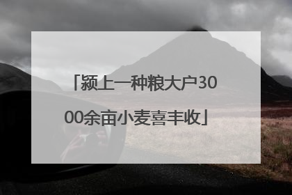 颍上一种粮大户3000余亩小麦喜丰收