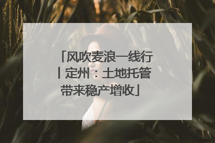 风吹麦浪一线行丨定州：土地托管带来稳产增收