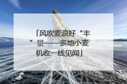 风吹麦浪好“丰”景——多地小麦机收一线见闻